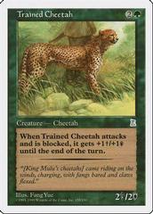 Trained Cheetah Magic Portal Three Kingdoms Prices