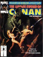 Savage Sword Of Conan The Barbarian #204 (1992) Comic Books Savage Sword of Conan the Barbarian Prices