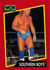 Southern Boys #138 Wrestling Cards 1991 Impel WCW Prices