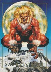 Sabretooth Marvel 1992 Masterpieces Prices