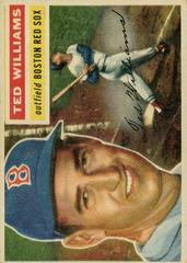 Ted Williams [Gray Back] #5 Baseball Cards 1956 Topps Prices