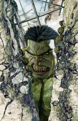 Hulk [Turini Virgin] Comic Books Hulk Prices