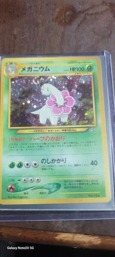 Meganium #154 photo