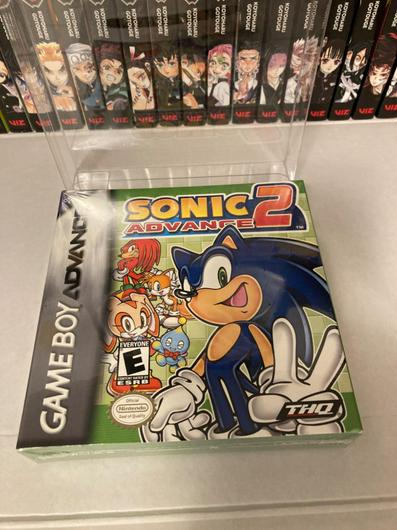Sonic Advance 2 photo