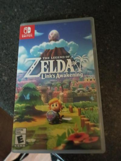 Zelda Link's Awakening photo