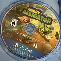 Disc | Angry Alligator Playstation 4