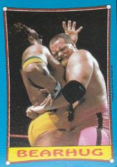Jim Neidhart, Billy Jack Haynes Wrestling Cards 1987 Topps WWF Prices
