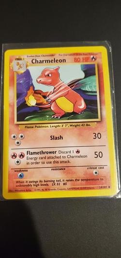 Charmeleon #24 photo