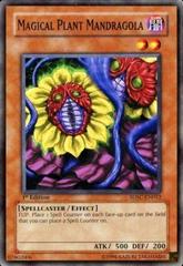 Magical Plant Mandragola [1st Edition] YuGiOh Structure Deck: Spellcaster's Command Prices