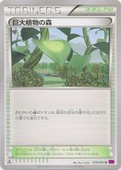 Forest of Giant Plants #79 Pokemon Japanese Bandit Ring Prices