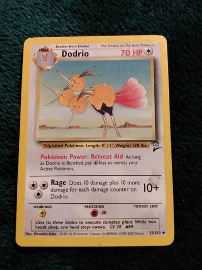 Dodrio #37 photo