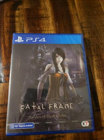 Fatal Frame: Maiden Of Black Water photo