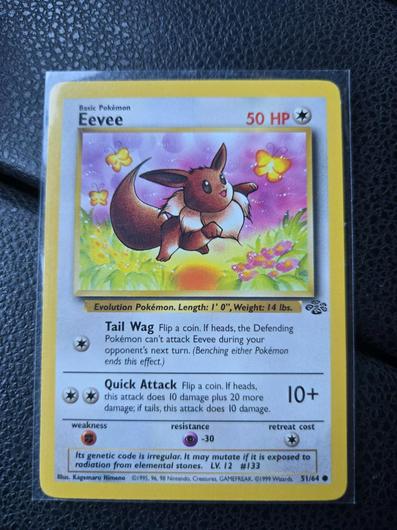 Eevee #51 photo