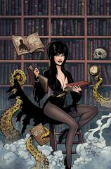 Elvira Meets H.P. Lovecraft [Acosta Virgin] #2 (2024) Comic Books Elvira Meets H.P. Lovecraft Prices