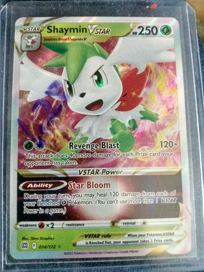 Shaymin VSTAR #14 photo