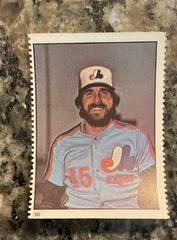 Steve Rogers #36 Baseball Cards 1982 Fleer Stamps Prices