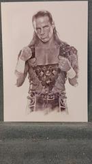 Shawn Michaels Tattoo Wrestling Cards 2008 Topps WWE Ultimate Rivals Prices