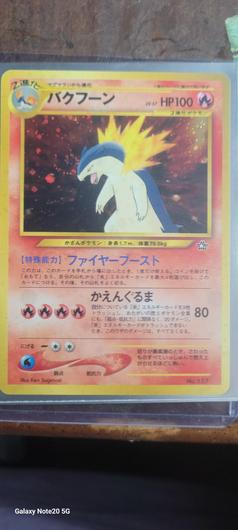 Typhlosion [Premium File] #157 photo