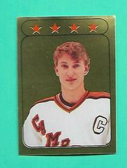 Wayne Gretzky [Foil] Hockey Cards 1985 O-Pee-Chee Sticker Prices