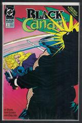 Photo By Canadian Brick Cafe | Black Canary Comic Books Black Canary