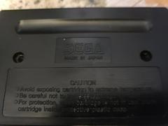 Cartridge (Reverse) | El Viento Sega Genesis