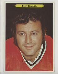 Tony Esposito Hockey Cards 1980 O-Pee-Chee Super Prices