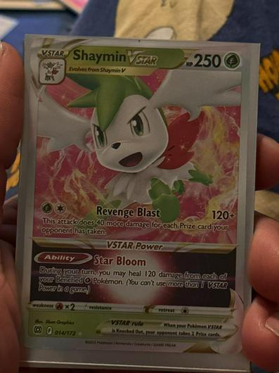 Shaymin VSTAR #14 photo