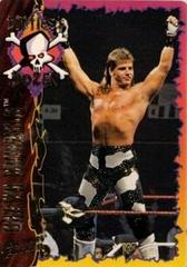 Shawn Michaels #25 Wrestling Cards 1995 Action Packed WWF Prices