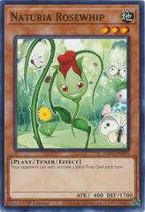 Naturia Rosewhip [1st Edition] YuGiOh Hidden Arsenal: Chapter 1 Prices