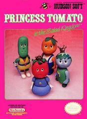 Princess Tomato In The Salad Kingdom - Front | Princess Tomato in the Salad Kingdom NES