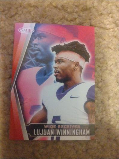 Lujuan Winningham #38 photo