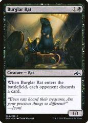Burglar Rat [Foil] Magic Guilds of Ravnica Prices