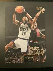 Andrew Lang Basketball Cards 1997 Fleer Prices
