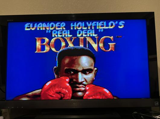 Evander Holyfield's Real Deal Boxing photo