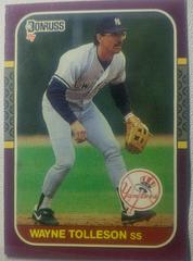 Wayne Tolleson Baseball Cards 1987 Donruss Prices