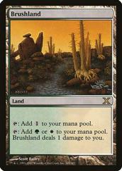 Brushland [Foil] Magic 10th Edition Prices