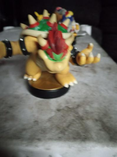 Bowser photo