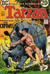 Tarzan #212 (1972) Comic Books Tarzan Prices