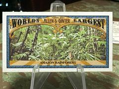 Amazon Rainforest Baseball Cards 2021 Topps Allen & Ginter World’s Largest Minis Prices