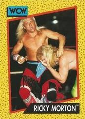 Ricky Morton Wrestling Cards 1991 Impel WCW Prices