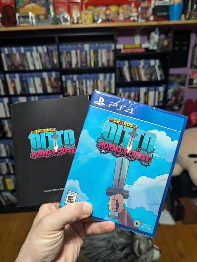 Swords Of Ditto: Mormo's Curse photo