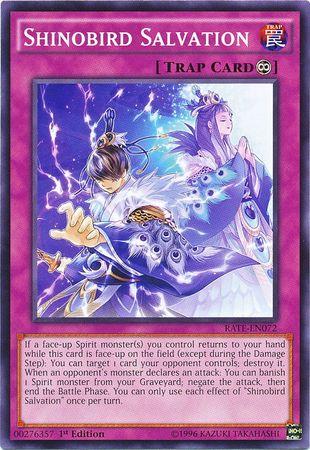 Shinobird Salvation [1st Edition] RATE-EN072 YuGiOh Raging Tempest