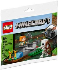 The Skeleton Defense #30394 LEGO Minecraft Prices