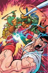 Teenage Mutant Ninja Turtles vs. Street Fighter [Johnson Virgin] #4 (2023) Comic Books Teenage Mutant Ninja Turtles vs. Street Fighter Prices