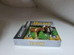 Front Cover And Bottom | Horsez GameBoy Advance