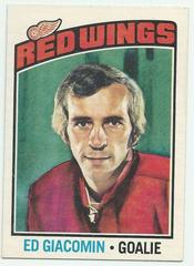 Ed Giacomin #160 Hockey Cards 1976 O-Pee-Chee Prices