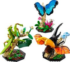 LEGO Set | The Insect Collection LEGO Ideas