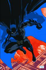 Absolute Batman: Haunted Knight [Hardcover] (2014) Comic Books Absolute Batman Prices