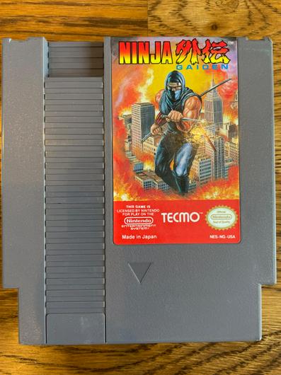 Ninja Gaiden photo