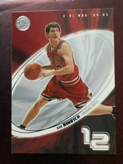 Kirk Hinrich Basketball Cards 2004 Skybox E-XL Prices